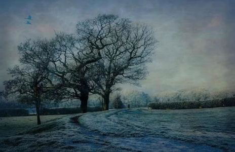 Cosy Parbold Apartment Steps form train station - Foto 34