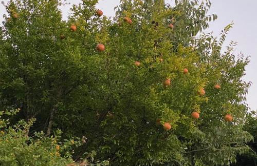 Villa Tzitzifies - Foto 19