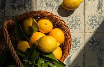 Vinte-Quinta da Boavista - Foto 97