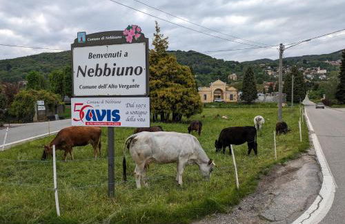 CAV Casa del vecchio faggio - 4 stelle - Nebbiuno Lago Maggiore - Foto 52