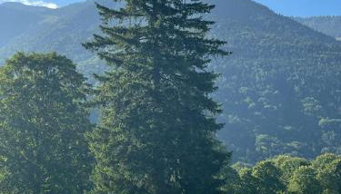 Ferienwohnung Geigelsteinblick - Photo 5