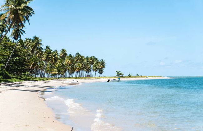 Excursion à la plage des Carneiros - Photo 5