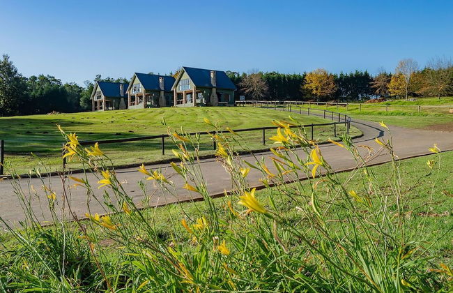 Springholm Cottages - Foto 45