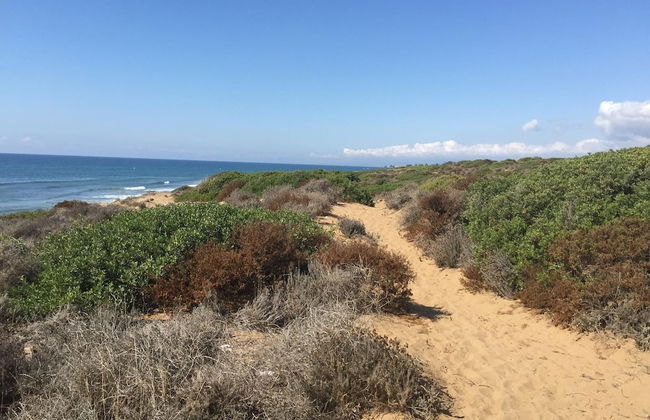 Rootop Villa - Chalet en Cabo Pino con vistas al mar, jardines y piscina - Foto 28