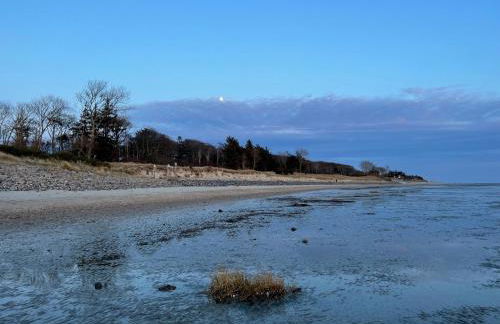 Haus Friesenfeuer - Foto 26