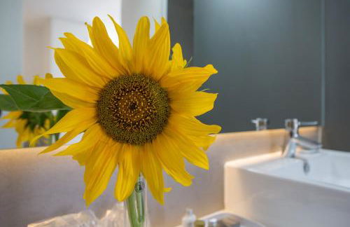 Monte das Texugueiras - Foto 71