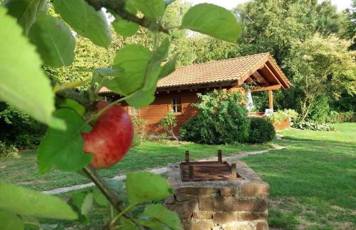 Romantisches Blockhaus an der Märchenstraße! - Photo 5