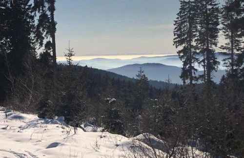 Apartment-Ferienwohnung Penzkofer - Foto 40