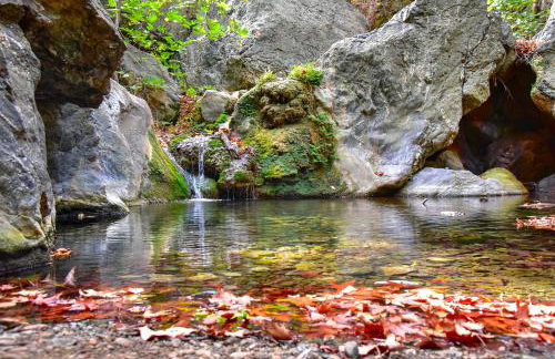 Plumeria Apartment Sitia - Foto 50