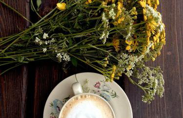 Nad Mikowym Potokiem - wydzielona część drewnianego domu z osobnym wejściem i ogrodem - Foto 59