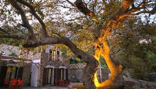 Ικαριων Γη - Foto 1, Garden