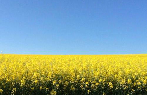 Hinter Burg, Haus mit Garten - Foto 39