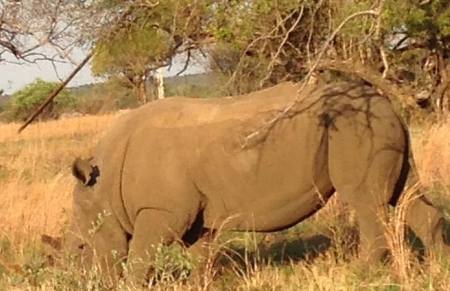 Tata Farm Lodge - Foto 22