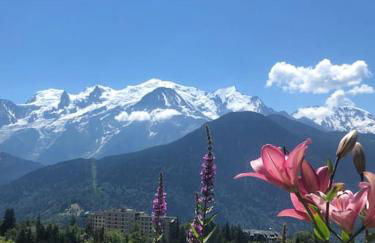 Appartement au pays du Mont-Blanc - Foto 1