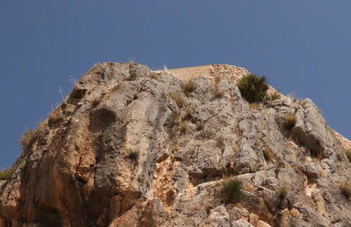 Vista Terraza Illora - Foto 8