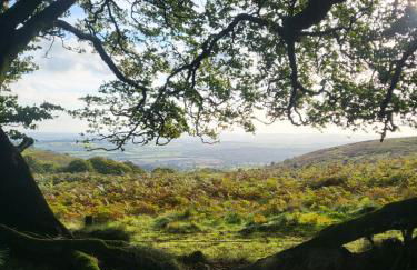 Beautiful One Bed Studio Flat - Dog Friendly - Foto 9