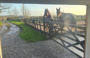 The Bungalow - Photo 40