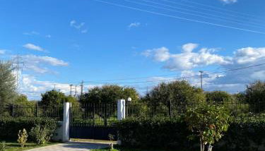 Into the green - Foto 5