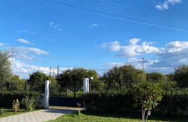 Into the green - Foto 5