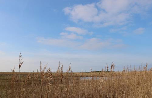 Seaview Cottage - Photo 23