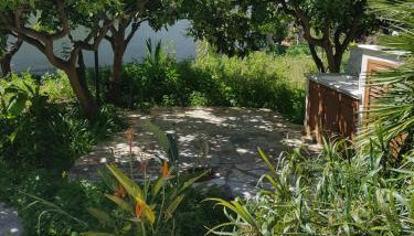 casa cocos - Foto 2, Garden view
