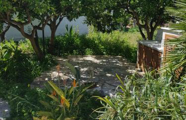 casa cocos - Foto 2