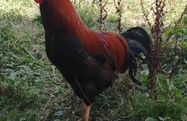 Urlaub an der Grenze - Foto 34