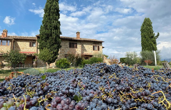 Tenuta Sovestro - Agriturismo e Winery - Foto 48