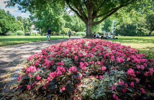 Boutique Apartments am Stadtgarten - Foto 30