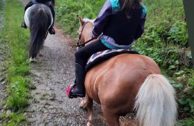 Ferienhaus auf dem Lusitanohof Jäger - Foto 25