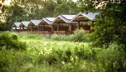 Bliżej Natury - Foto 2, Garden