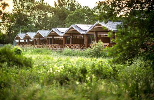 Bliżej Natury - Foto 2