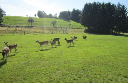 Haus Alexander - Foto 6