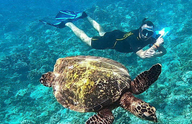 Tahiti Power Snorkelling - Photo 2
