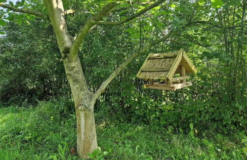 Naturnahes Wohnen in einem alten Haus mit Garten - Foto 8