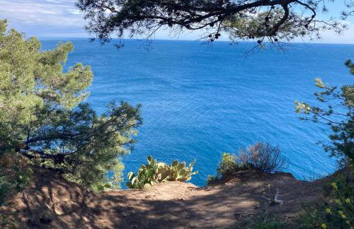 Petit paradis classé 3 étoiles à 200m de la plage! Terrasse-Wifi-Parking-clim - Foto 28