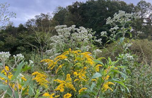 Sleeps 5-6 Near RRG-Hot Tub-Nice Sunrise-Quiet - Foto 67