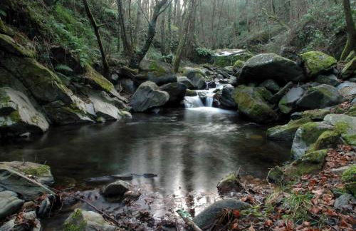 HomeHolidaysRentals Confort - Foto 21