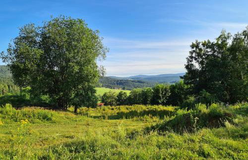 Ferienhaus Bayerischer Wald - Foto 51