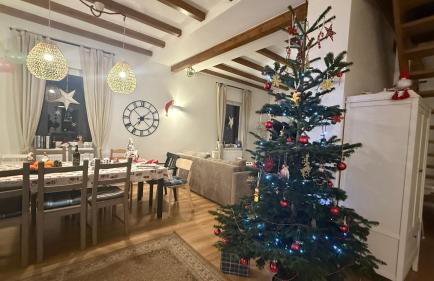 Pod Śnieżnikiem - Foto 2