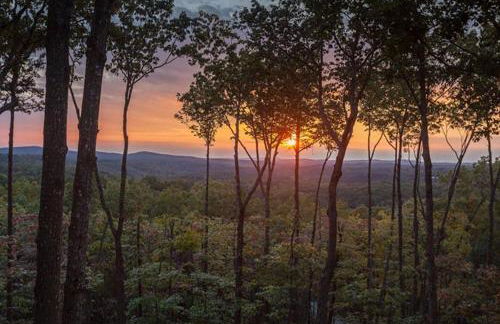 Amber Sunsets - Foto 1