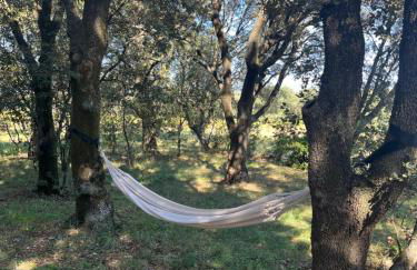 Maisonnette avec petite forêt - Foto 21