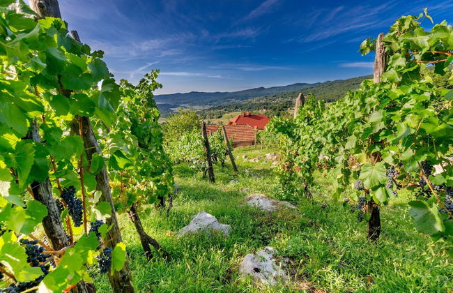 River View Suite Mlinar Private Beach - Foto 17