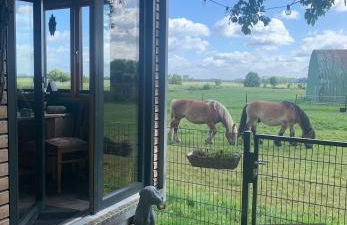 Tiny House nah am Nationalpark - Foto 45