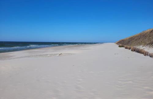 Zakątek Sasanki - Foto 40