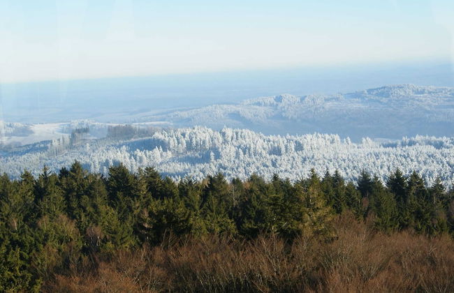 Holiday Home in Rattersberg Bavaria With Terrace - Foto 25