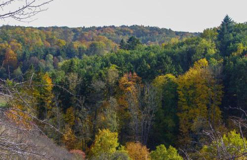 The hills at river - Foto 46