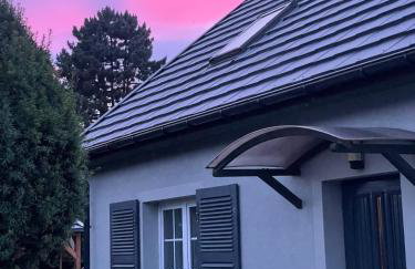 Dzika Foka Wiosłowa 49 - Photo 2