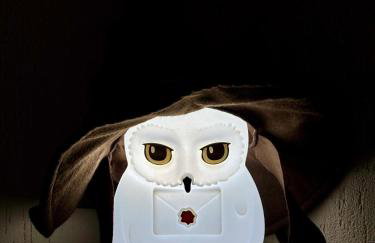 Flat Patronum - Foto 18