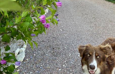 Nature & jacuzzi, 1 hr 45 min from Paris - Foto 3